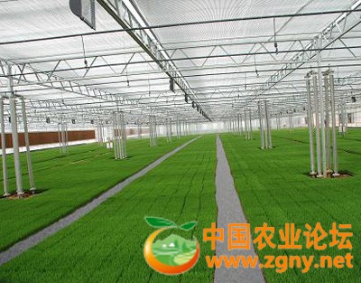 20142171633178116 (1).jpg