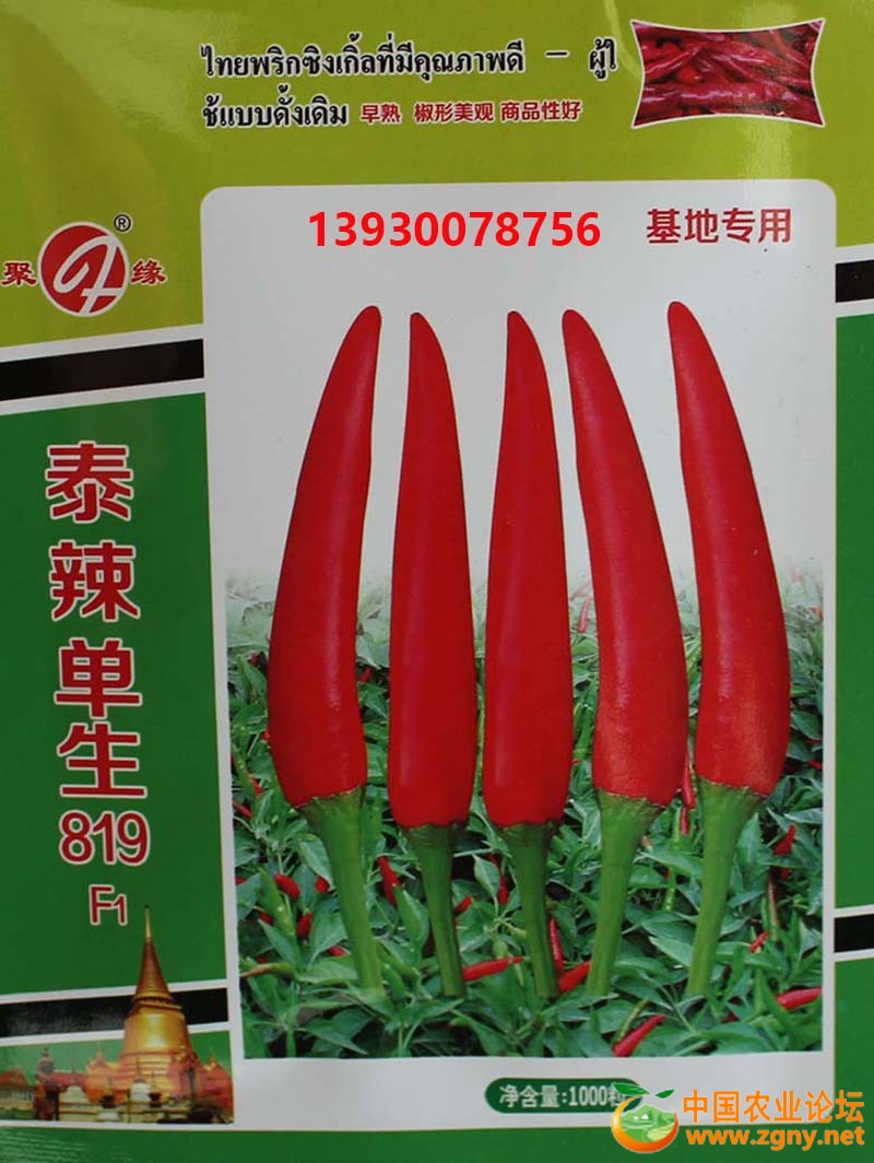 1、泰辣单生819.JPG