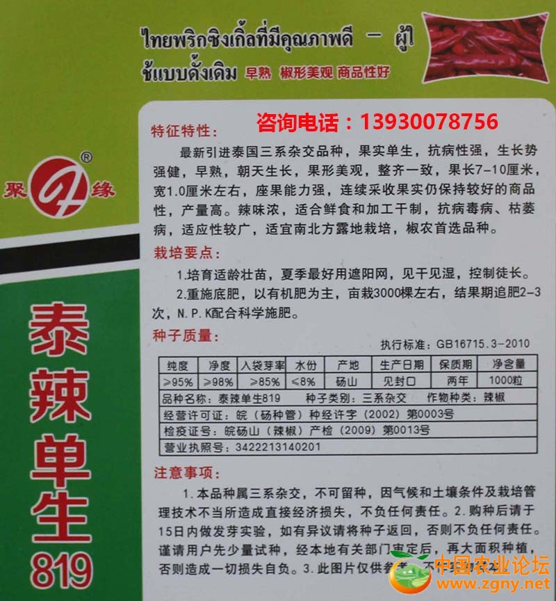 10、泰辣819后期.JPG