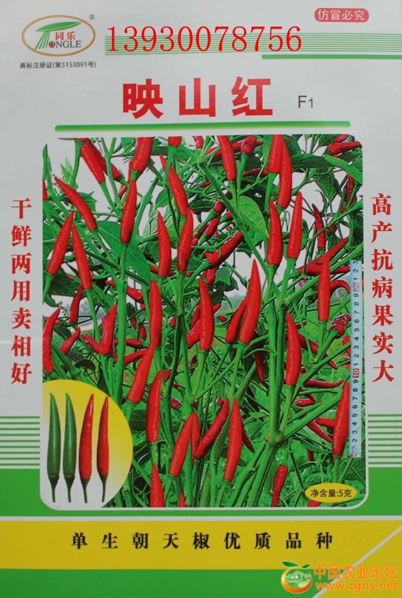 1、映山红.jpg