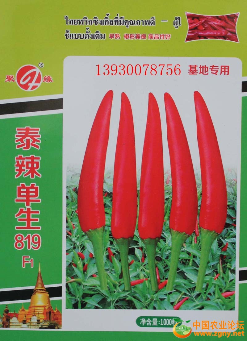 3、泰辣单生819.jpg