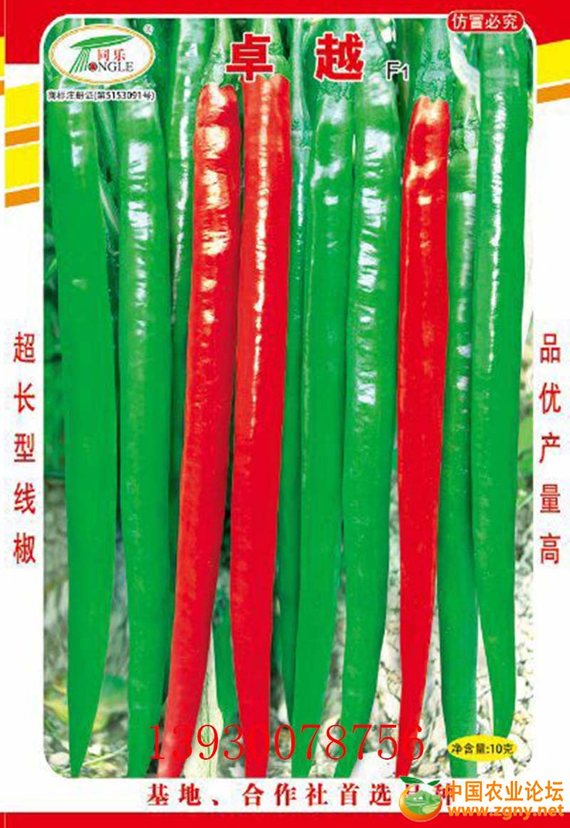 5、卓越.jpg