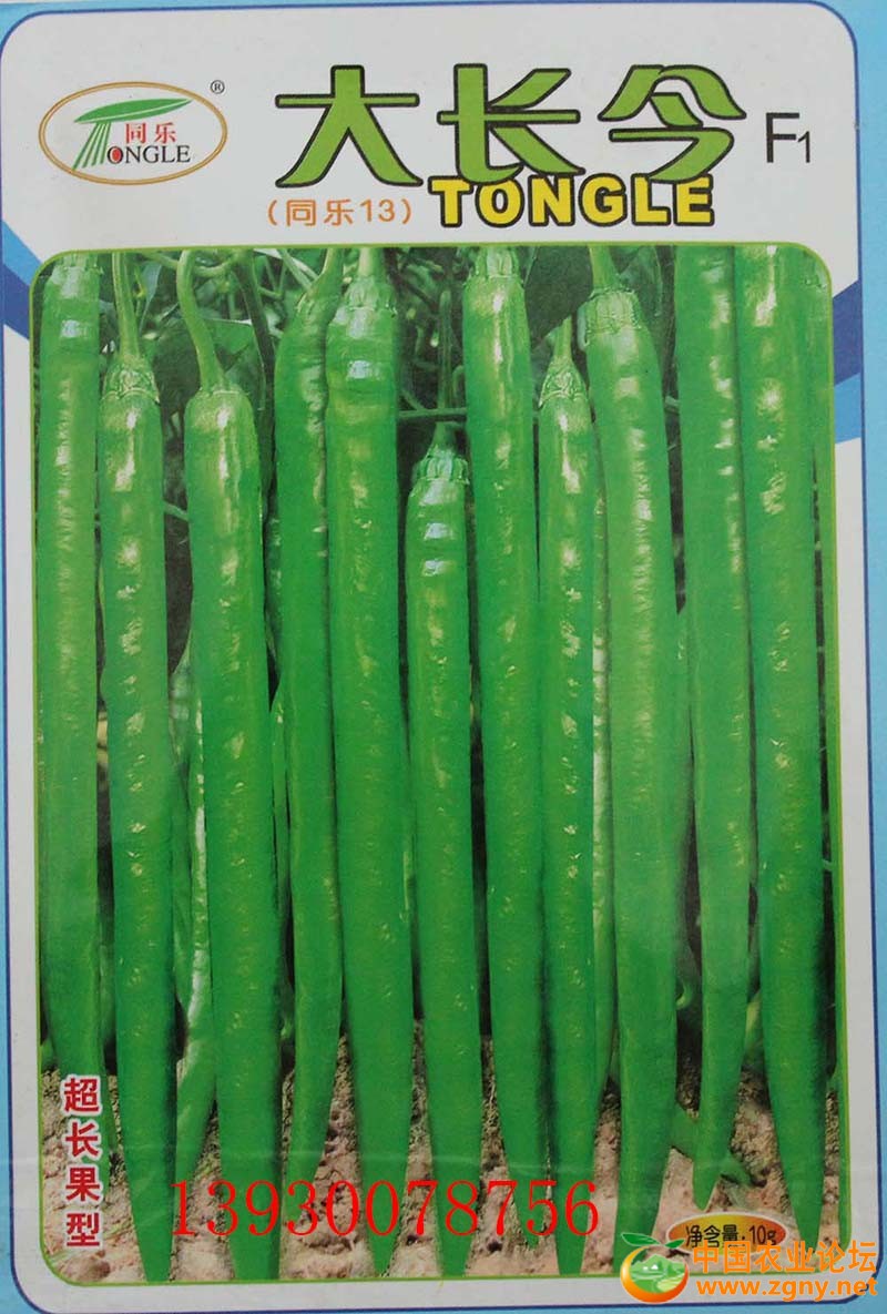 8、大长斤.JPG