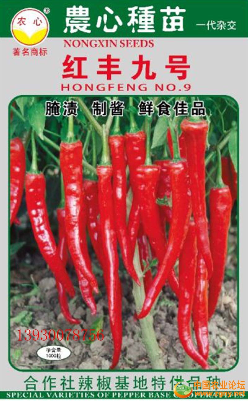 10、红丰九号.jpg