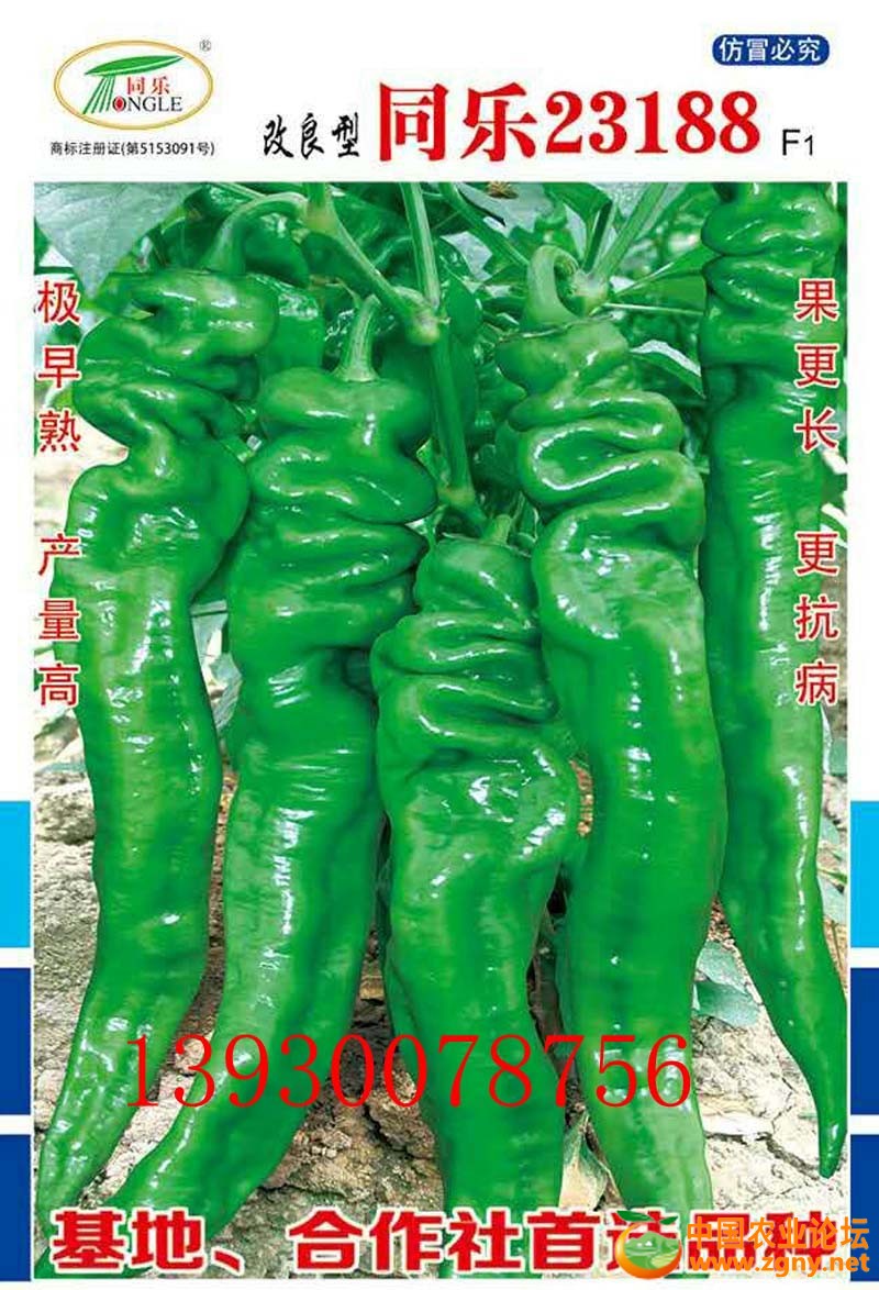 11、23188螺丝椒.jpg