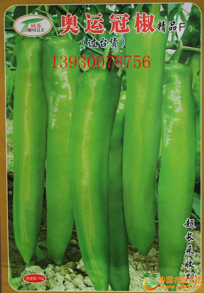15、奥运冠椒.JPG