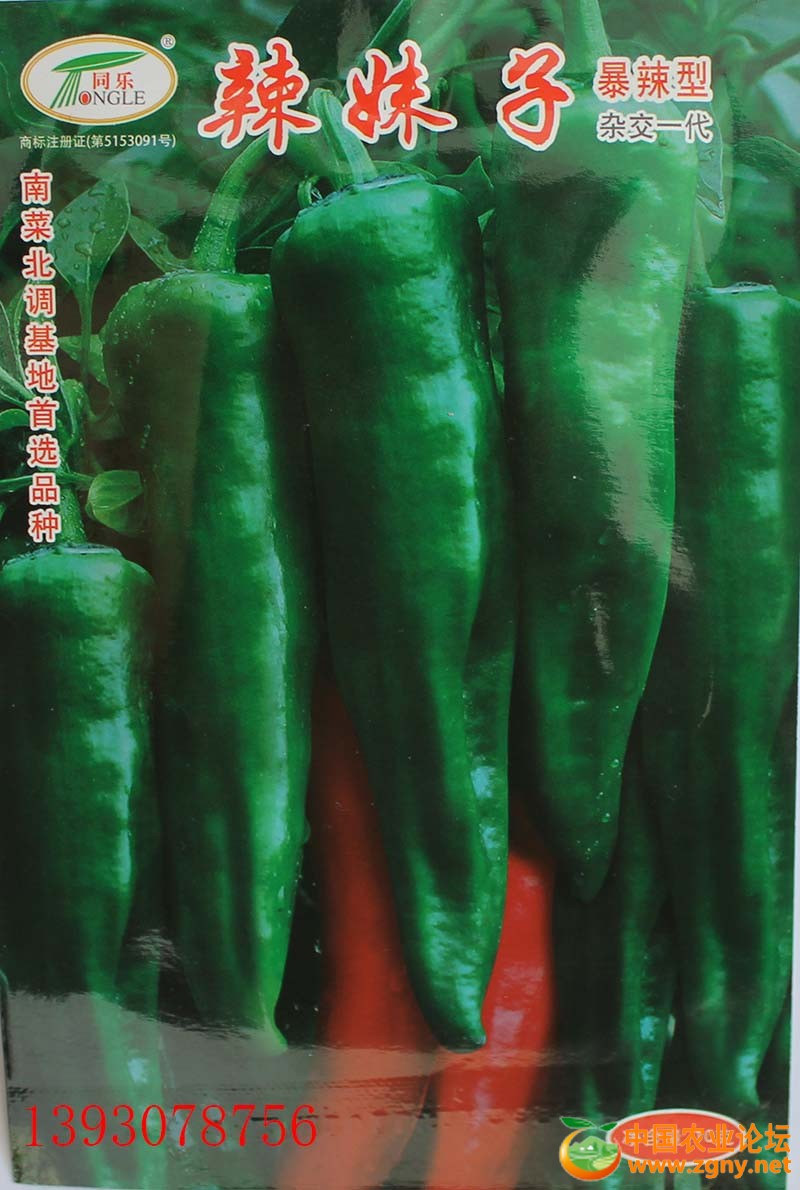 17、辣妹子.JPG