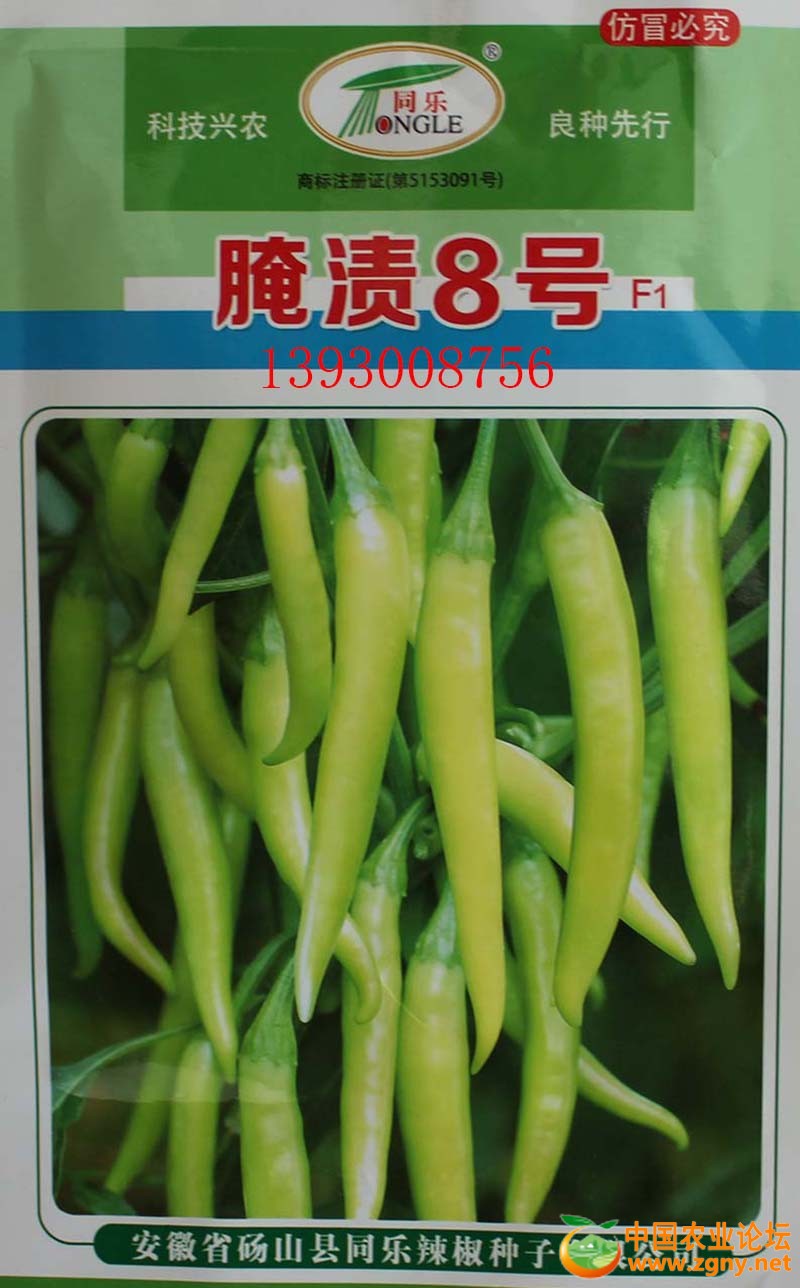 19、腌渍8号包装袋.JPG