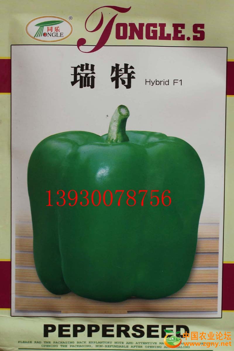 18、瑞特菜椒.jpg