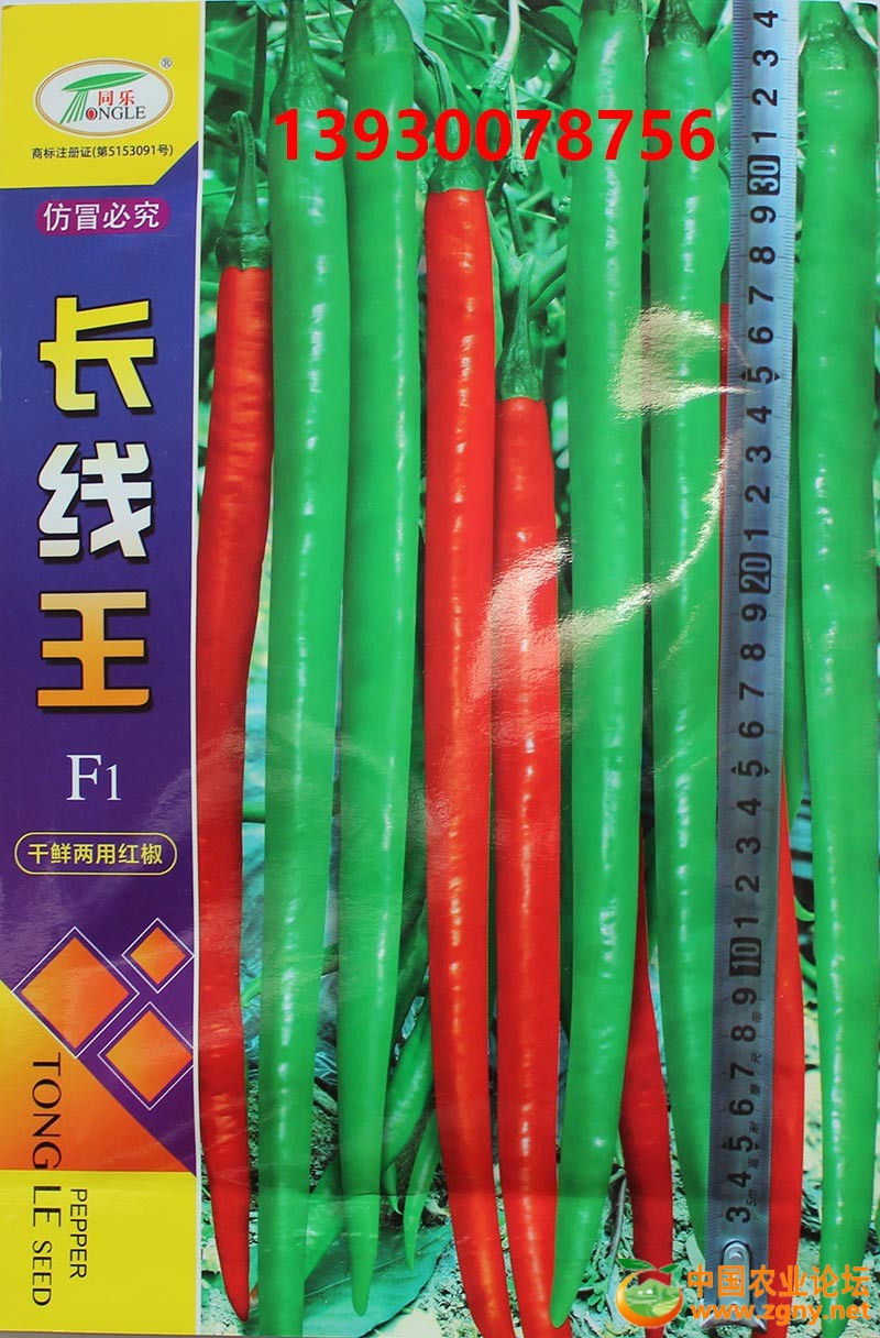 22、长线王.JPG