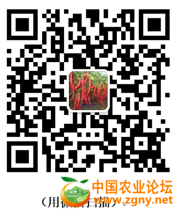 微信号.png
