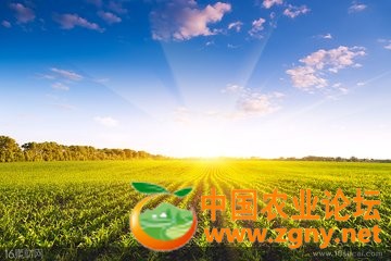 t01bb5d7fcb83c79b1b.jpg