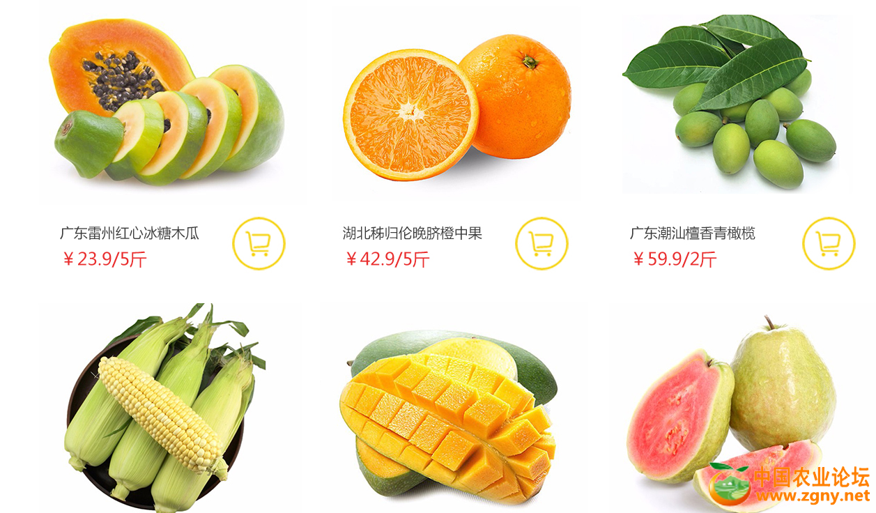 QQ图片20180904133821.png