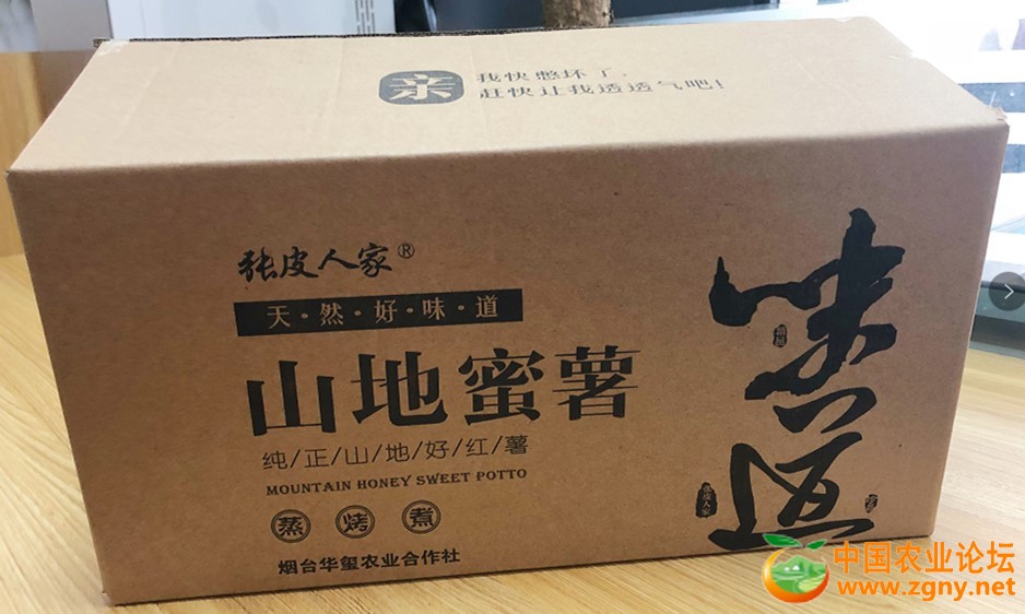 bd6d434cd9663a629a227e29a8e3fb3_副本.jpg