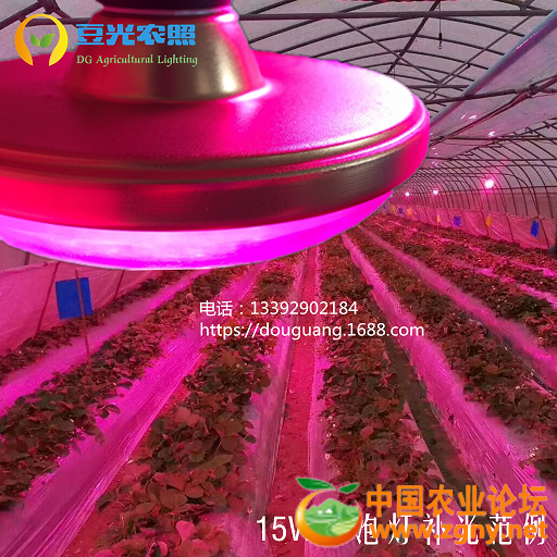 15W球泡灯补光范例（有电话）.png