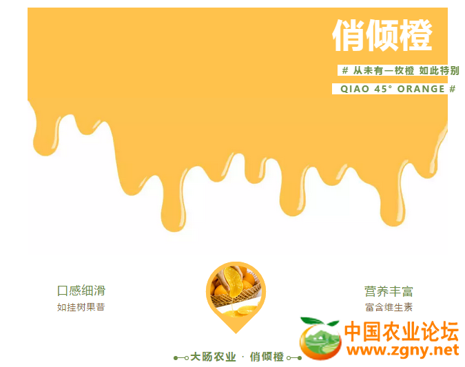微信截图_20181215155027.png