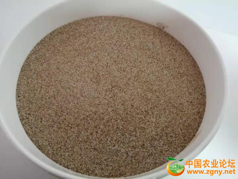 实物拍摄