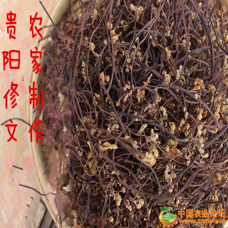 蕨菜干4.jpg