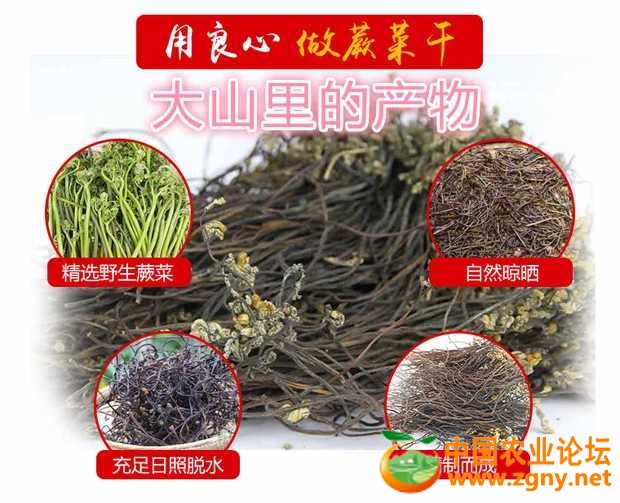 蕨菜干2.jpg