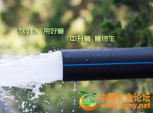好管.jpg