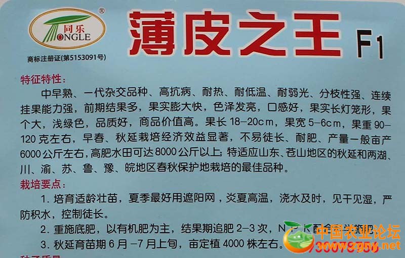 12、薄皮之王特性.JPG