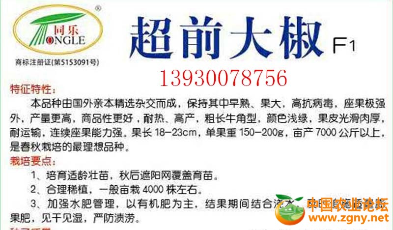 9、超前大椒特性.jpg