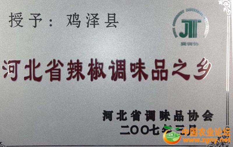 河北省辣椒调味品之乡.JPG