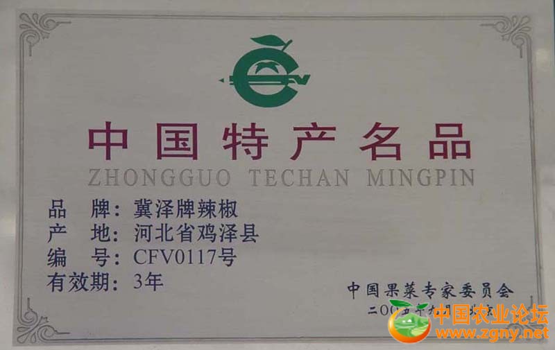 鸡泽辣椒被评为中国特产名品.jpg