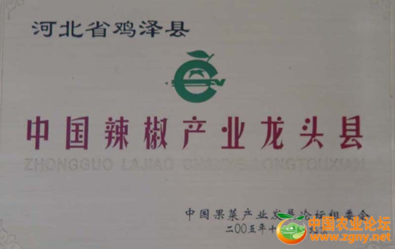 鸡泽县被评为中国辣椒产业龙头县.jpg