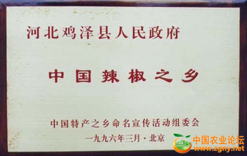 中国辣椒之乡.jpg